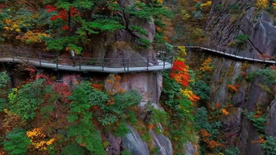 安徽九華山：霜染丹林，感受自然之美