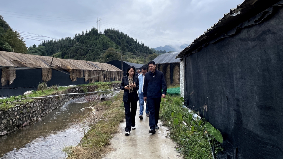 楊遠艷：到群眾中去、講群眾的話(huà)、想群眾的事