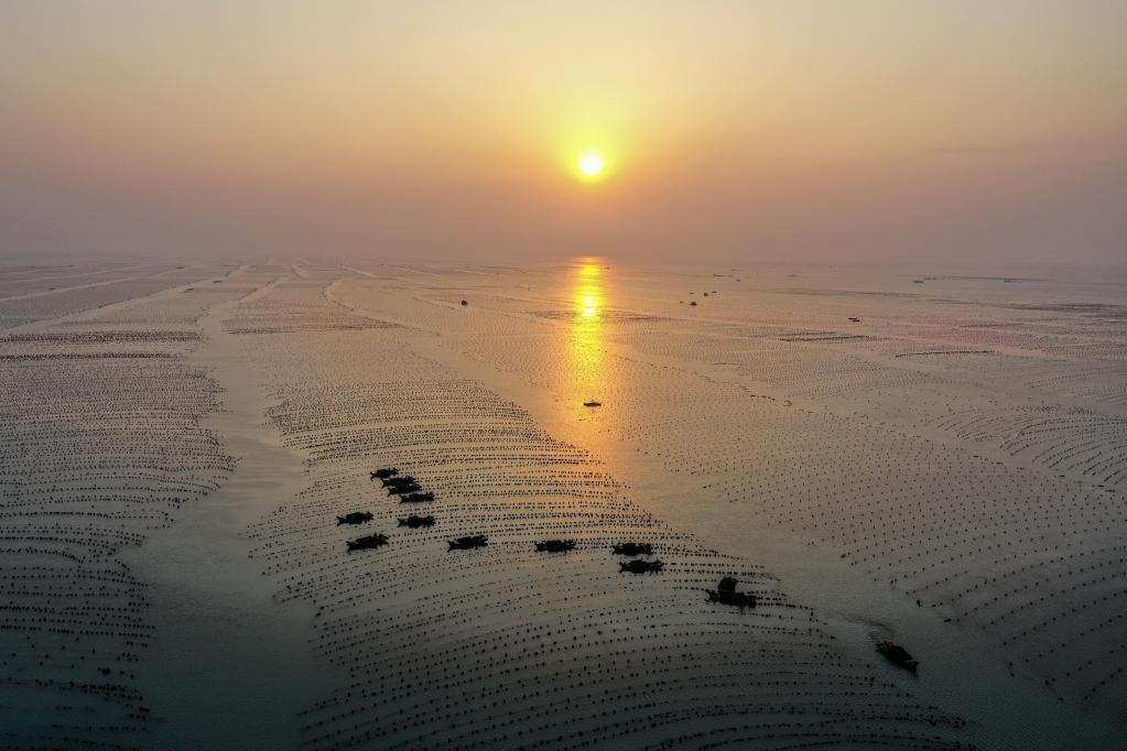 山東榮成:早春時(shí)節 “耕海牧漁”