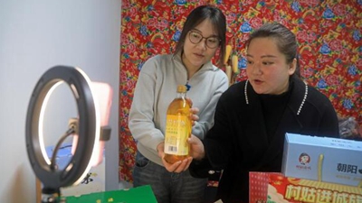 王穎：做 “有情懷，會(huì )妙招，富鄉親”新時(shí)代返鄉新農人