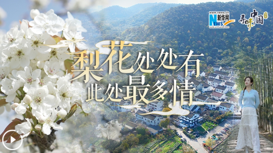 梨花處處有，此處最多情