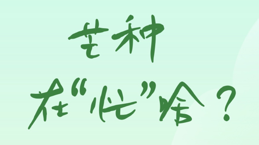 芒種在“忙”啥？