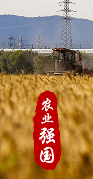 農業(yè)強國是社會(huì )主義現代化強國的根基。