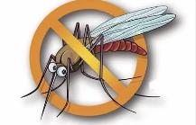 夏季，常見(jiàn)蚊蟲(chóng)如何應對