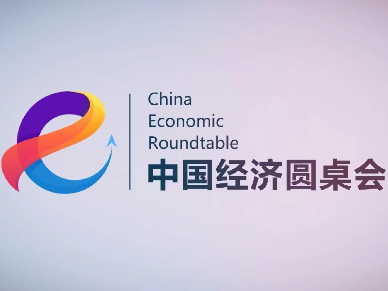 大型全媒體訪(fǎng)談節目“中國經(jīng)濟圓桌會(huì )”第十五期上線(xiàn)