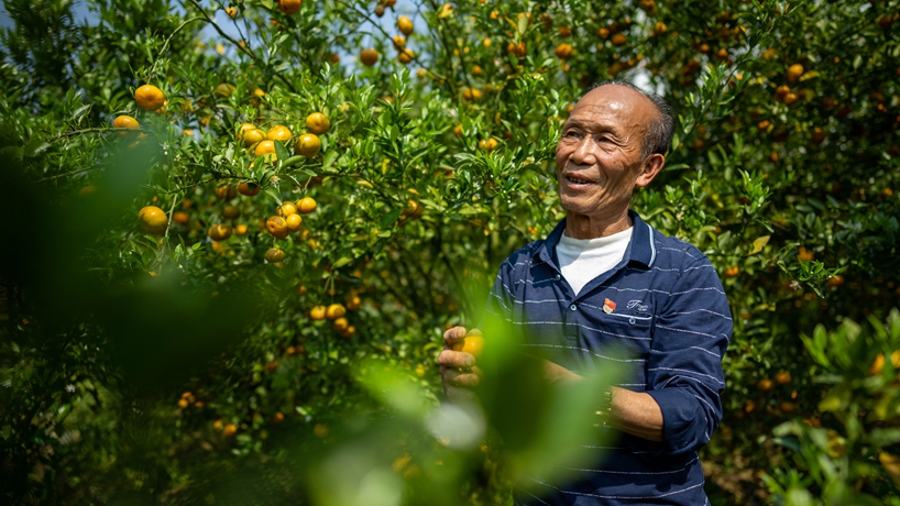 戰山斗山，一代又一代“石漠愚公”書(shū)寫(xiě)傳奇
