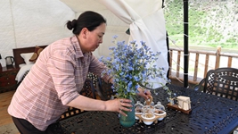 年過(guò)半百回鄉創(chuàng  )業(yè) 她助力古村落煥發(fā)新活力