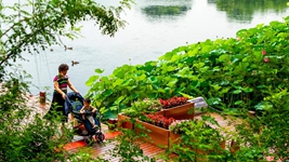 告別大拆大建，老城煥發(fā)新生——北京老城正在發(fā)生的變遷