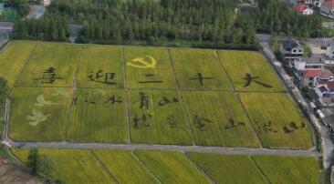 美麗鄉村再出發(fā)——安吉余村走筆