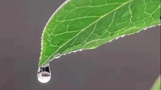 在中國古詩(shī)詞里，尋找北京冬奧的“節氣密碼”