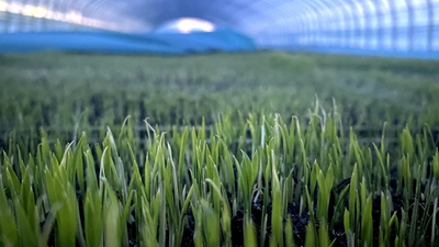 端牢“中國飯碗”，“北大倉”想這么干