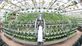 “中國蔬菜之鄉”律動(dòng)種業(yè)“中國芯”