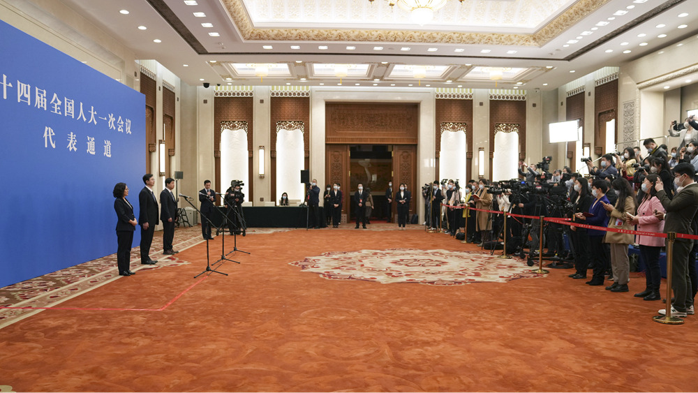 十四屆全國人大一次會(huì )議第二場(chǎng)“代表通道”