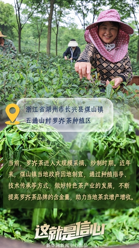 這就是信心丨應季收獲忙！看田間地頭上的增收新路子