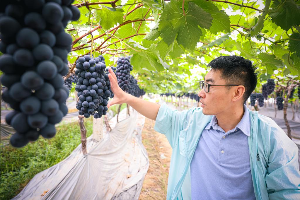 浙江寧波：特色產(chǎn)業(yè)助力鄉村共富