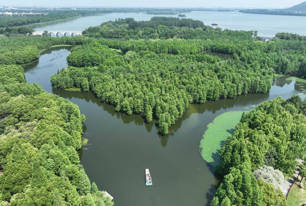 江蘇常熟:尚湖夏日美