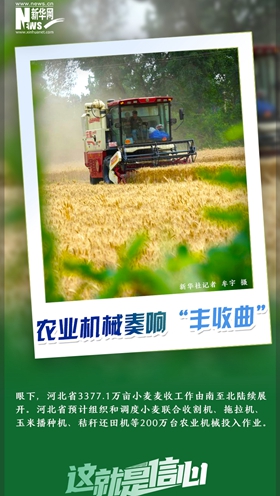 這就是信心｜好一派豐收景象！