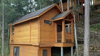 向綠而行——長(cháng)江邊的三個(gè)生態(tài)故事