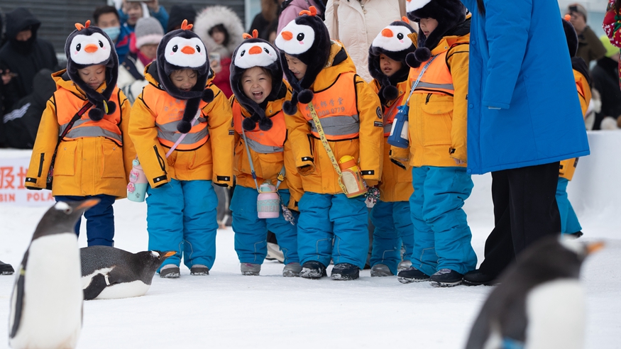 開(kāi)年旺！這樣熱氣騰騰的生活真帶勁