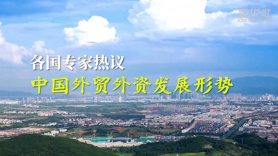 各國專(zhuān)家熱議中國外貿外資發(fā)展形勢
