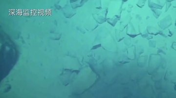 8919米！我國科學(xué)家首次探底雅浦海溝 成功采集深淵樣本