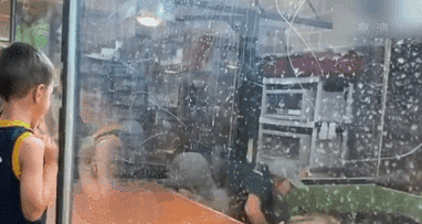 表演時(shí)被咬 美飼養員“鱷口逃生”