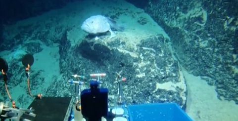 創(chuàng  )新源動(dòng)力：我國深?？瓶歼M(jìn)入萬(wàn)米時(shí)代