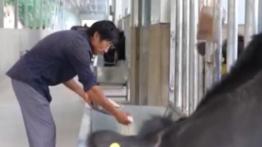 我國4425.9萬(wàn)人納入城鄉低保