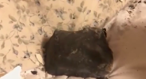 意外！人在家中睡 隕石天上來(lái)