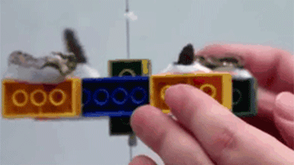 新加坡：科學(xué)家嘗試用樂(lè )高積木拯救珊瑚