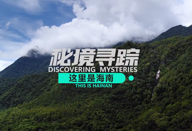 這里是海南 秘境尋蹤