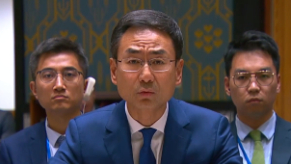 中國代表呼吁各方在波蘭領(lǐng)空無(wú)人機事件上保持克制