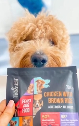 這份來(lái)自澳洲的“寵愛(ài)”，正飛向進(jìn)博會(huì )