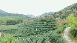 萬(wàn)象“耕”新！碼住人間四月天