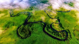 守好最北生態(tài)屏障——黑龍江大興安嶺林區轉型記